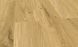 Вініл Falquon Wood Dryback Honey Oak P7001 WW660 фото 1