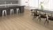Ламінат Haro Tritty 100 Oak Eleganza Puro 541474 WW124 фото 2